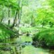 節々の痛み、寒暖差